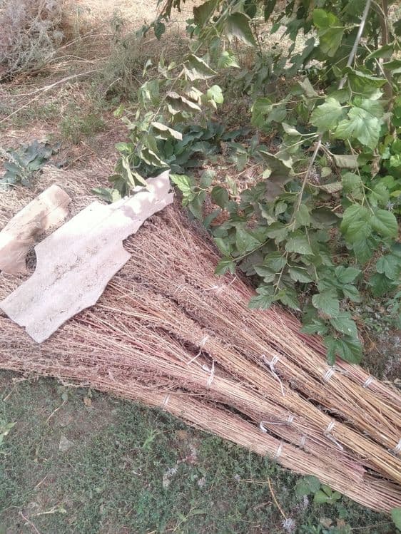 Qauli wipirgilar sotiladi 25000mingdan — 3