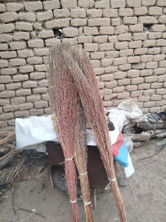 Qauli wipirgilar sotiladi 25000mingdan — 5