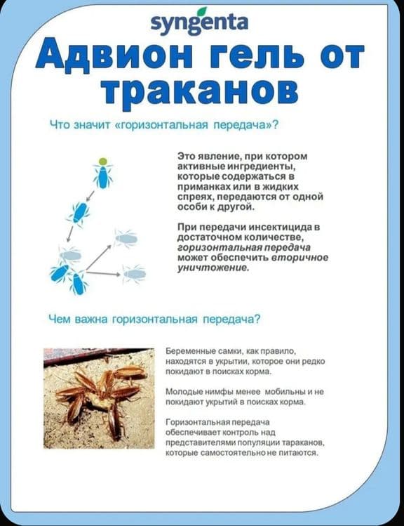 Advion Gel  USA от тараканов без запаха — 2