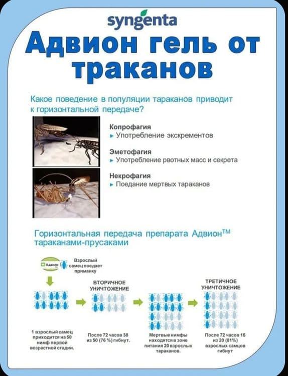 Advion Gel  USA от тараканов без запаха — 3