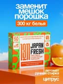 Стиральный порошок JAPAN FRESH 1311 для автоматической и ручной стирки