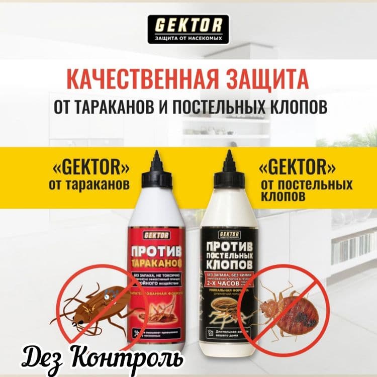 Гектор.Надежное избавление от Клопов — 1