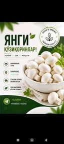 Кузикорин бор катта партияда терилади