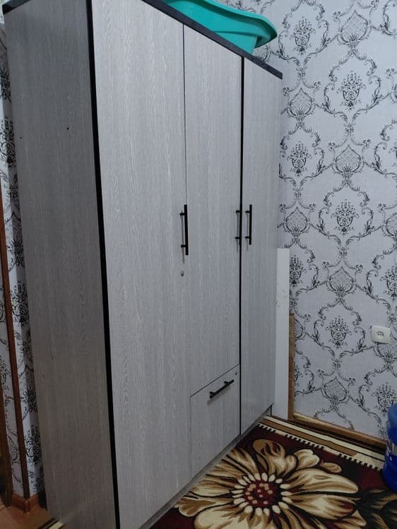 Hammasi yangi donaga xam osela buladi.  Shkaf. Spalni. Tryumo. Stol. — 4