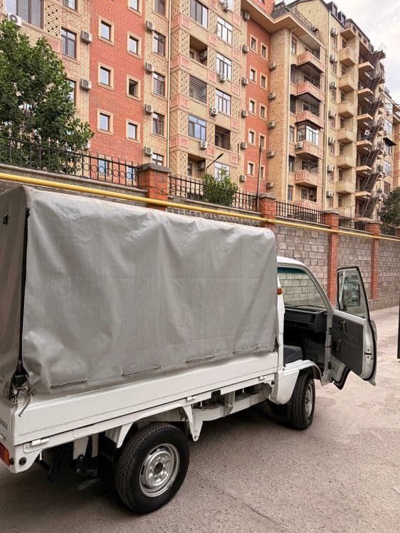 Продаем Дамас LABO (Damas 2 LB2) . Год выпуска -2023, Белодимчатый. — 6