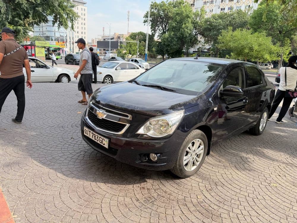 Cobalt darkmoon 2023 ltz — 2