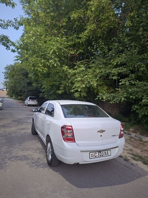 Kobilt 2021 yil bezdan yurgan — 1