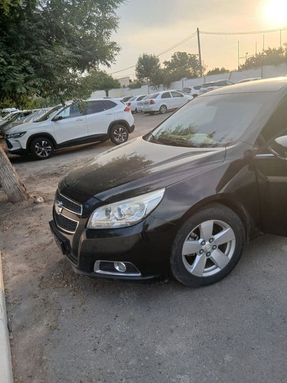 Malibu1. 1 pozitsiya — 1