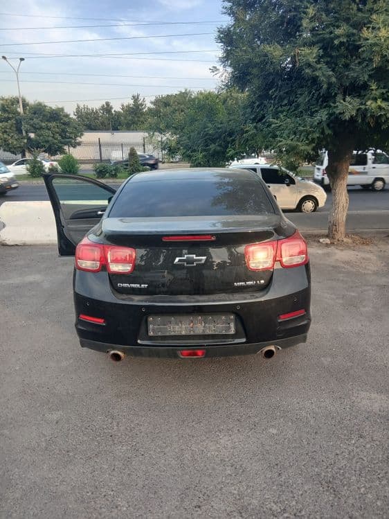 Malibu1. 1 pozitsiya — 2