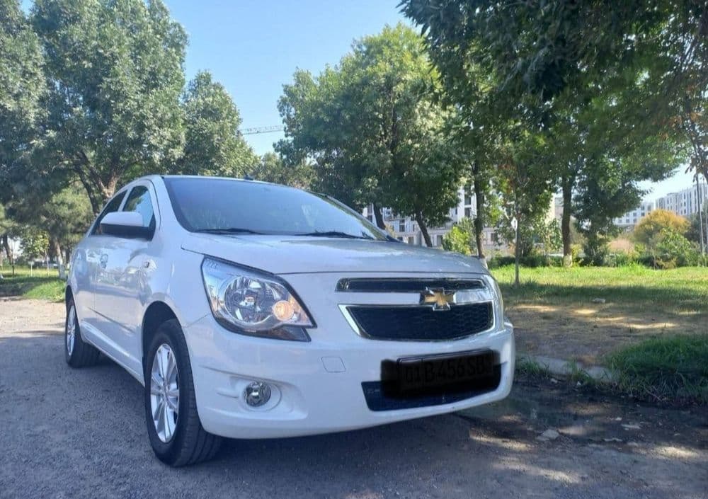 Cobalt Style 24 yil oq Kraska toza