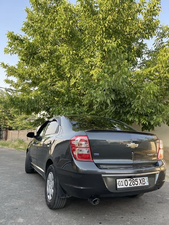 Cobalt 2023 4 pazitsiya — 2