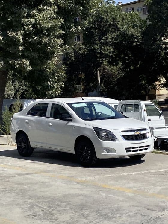 Kobalt metnayit ponli navarot 2025 — 1