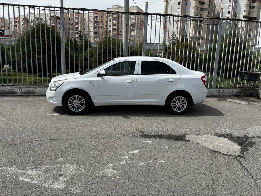 COBALT MSM 2025  сотилади — 2