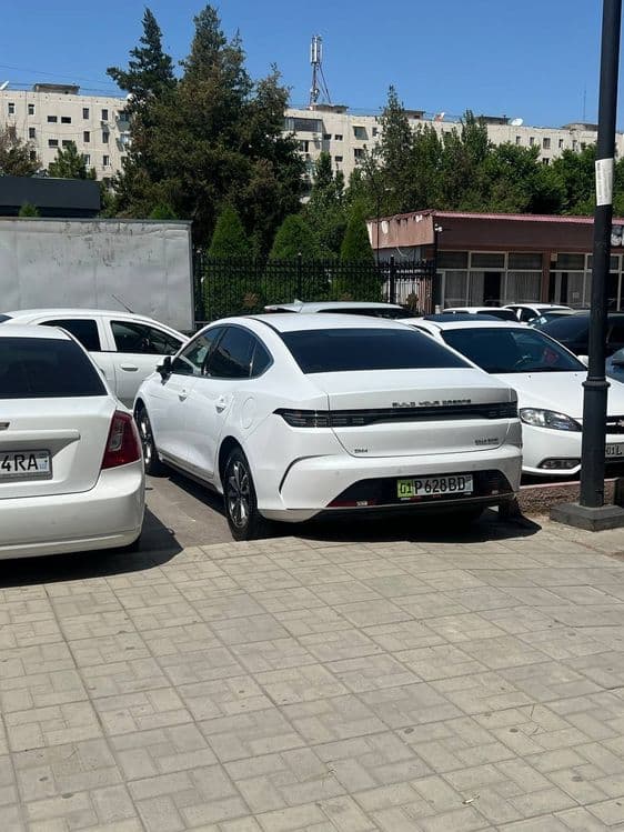 Arenda Byd chazor 2paditsa — 2