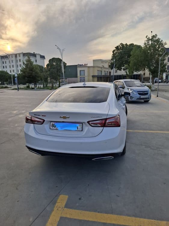 Malibu premier holati yaxwi — 3