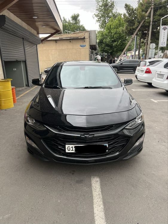 Malibu pirmer 2020 yil