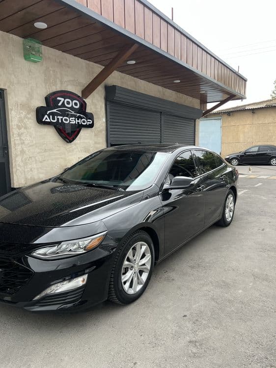Malibu pirmer 2020 yil — 3