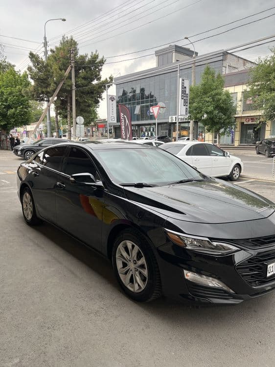 Malibu pirmer 2020 yil — 4