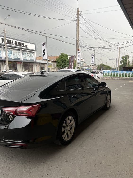 Malibu pirmer 2020 yil — 6