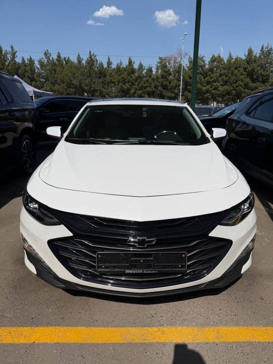 Malibu Xl Full 2025/26 — 1