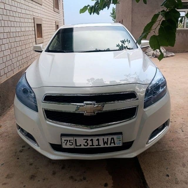 Malibu1 2.4 atmosferniy metan 100talik — 1