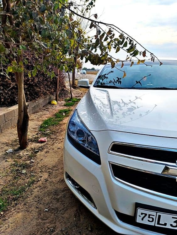 Malibu1 2.4 atmosferniy metan 100talik — 2