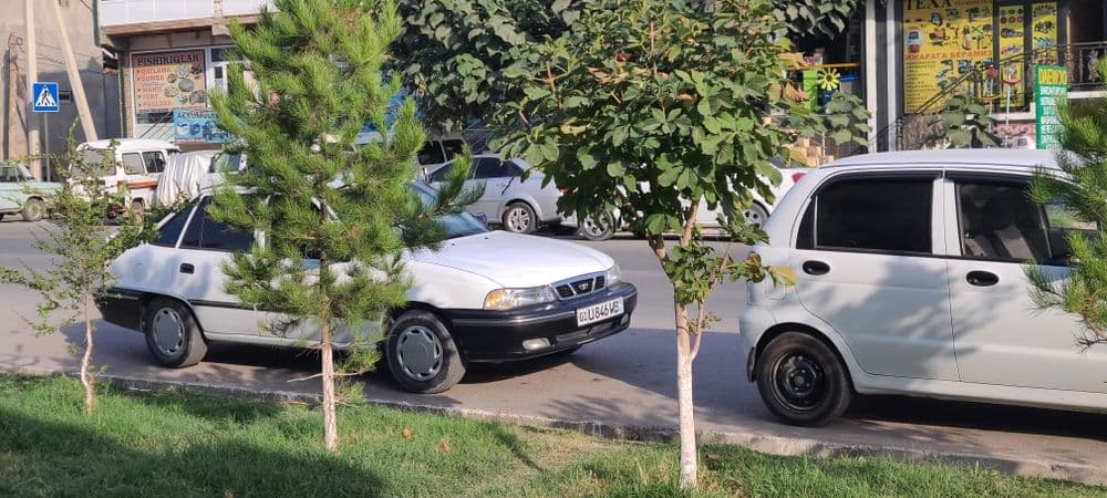 Nexiav 1 sons tranbilyor — 4