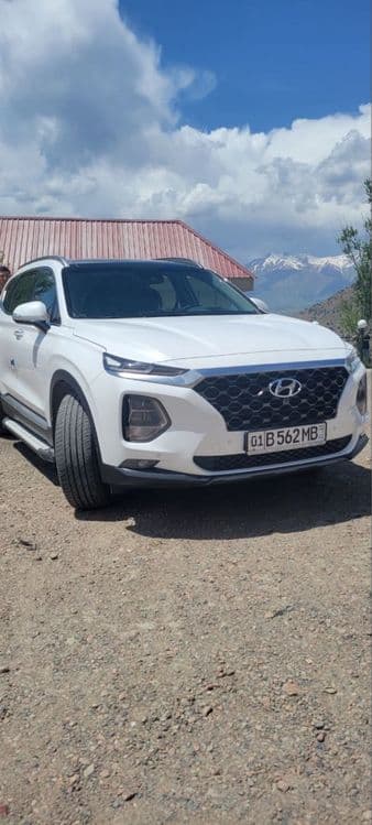 Hyundai Santa Fe sotiladi 2020/11 — 3