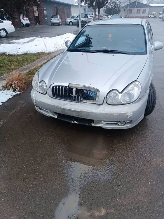 Hyundai Sonata 2002г зайчик — 2