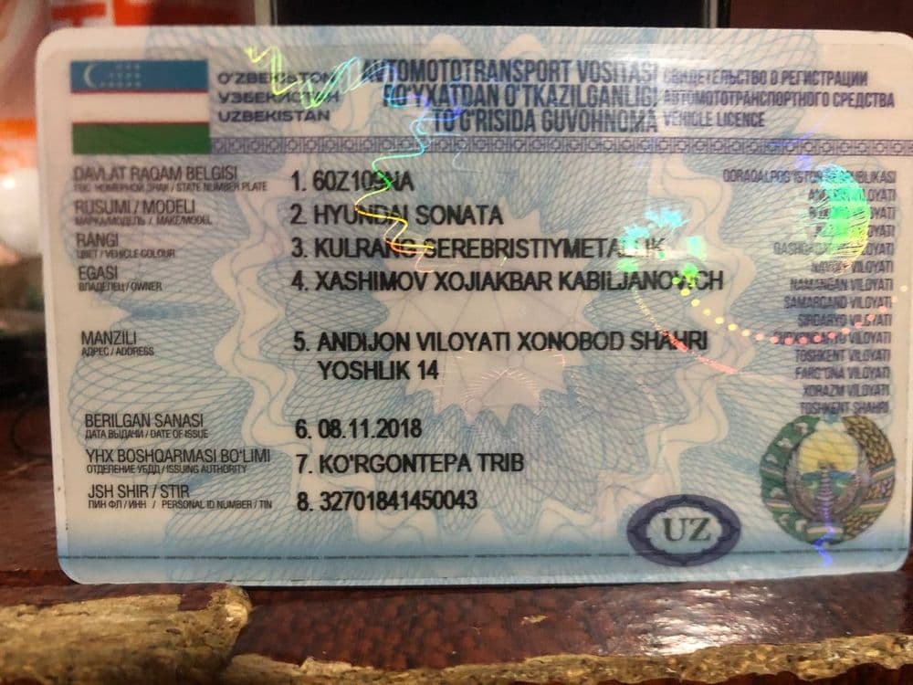 Hyundai Sonata 2002г зайчик — 7
