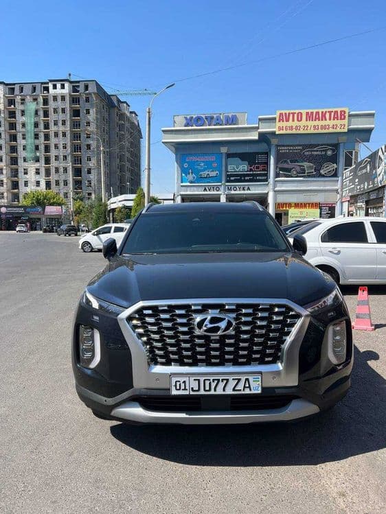 Hyundai Palisade 2020 — 1