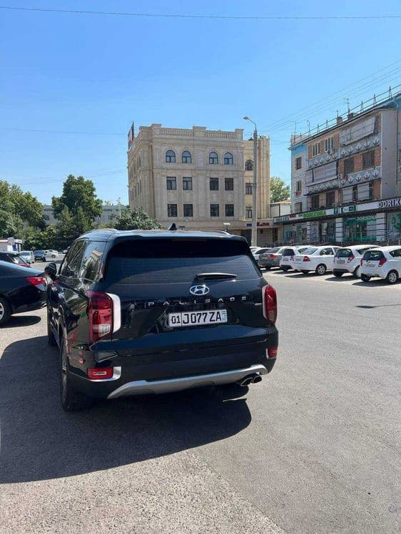 Hyundai Palisade 2020 — 2