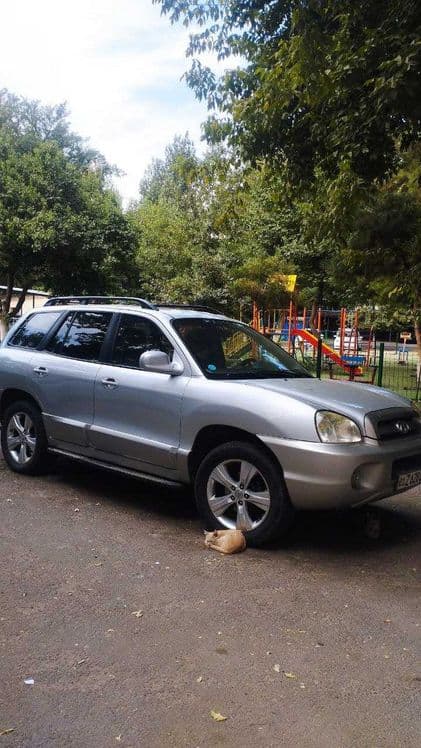 Hyundai santa fe 2005 — 3