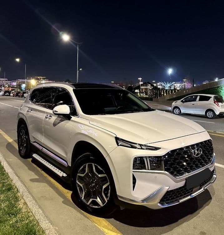 Santafe 2022 eng full — 1