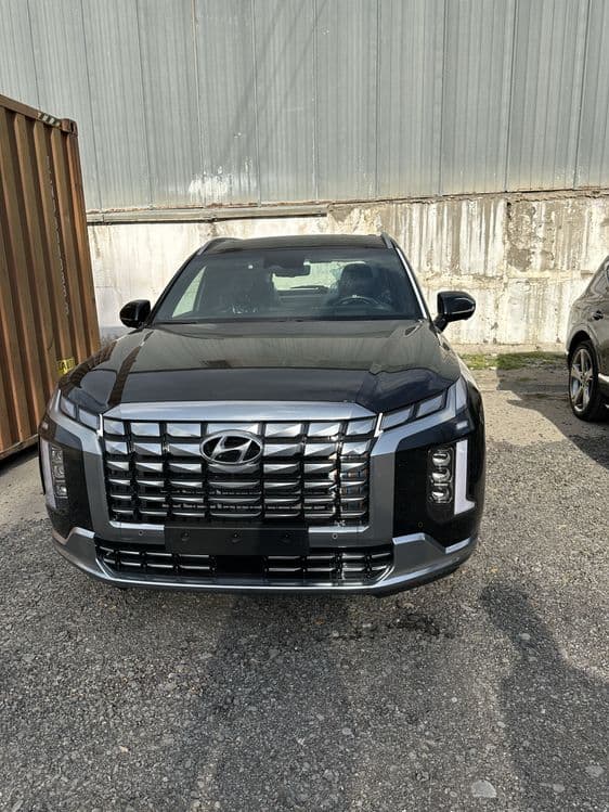 Hyundai Palisade Caligraphy 2023/24год, AWD, без пробег — 1