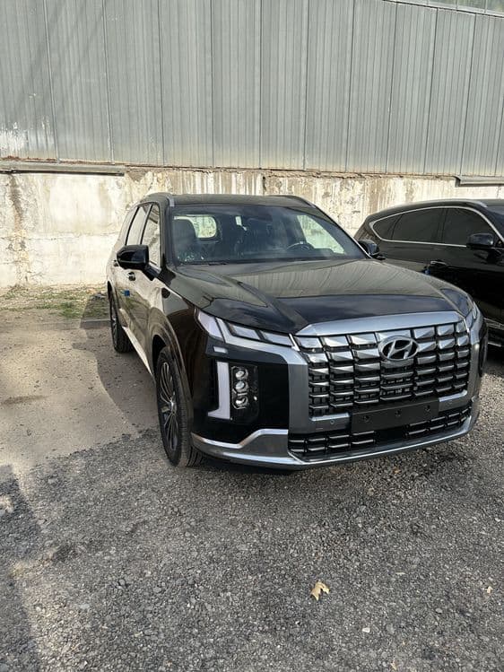 Hyundai Palisade Caligraphy 2023/24год,  AWD, без пробег — 2