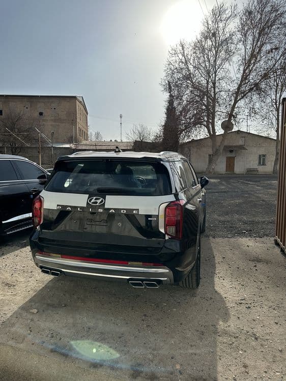 Hyundai Palisade Caligraphy 2023/24год,  AWD, без пробег — 3