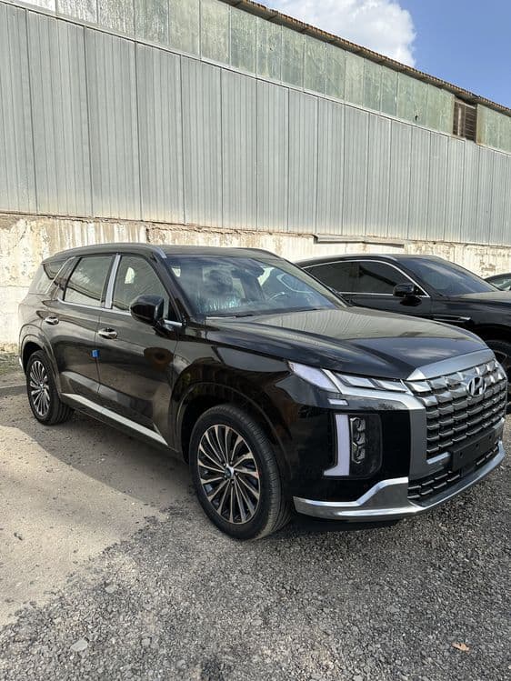 Hyundai Palisade Caligraphy 2023/24год,  AWD, без пробег — 4