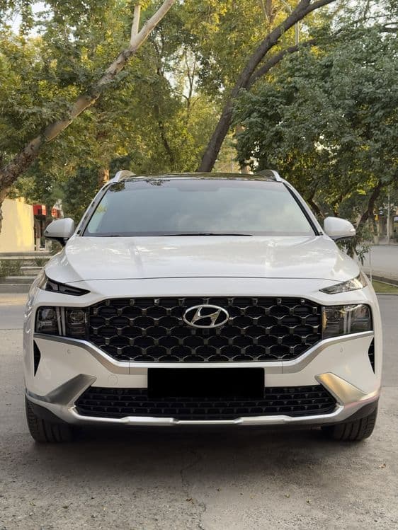 Hyundai Santa Fe 2.5 Full — 1