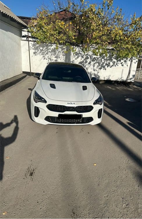 Киа стингер 3.3 TWIN TURBO — 1