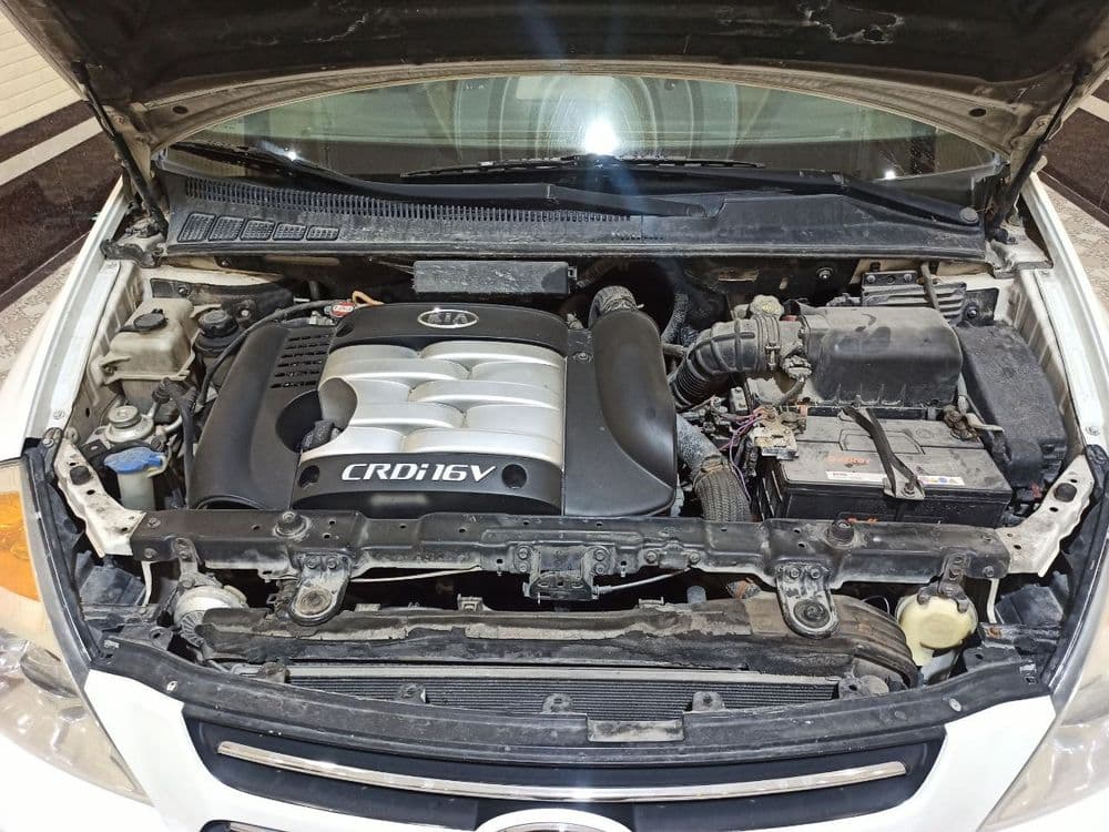 Kia Carnival 2007 — 7
