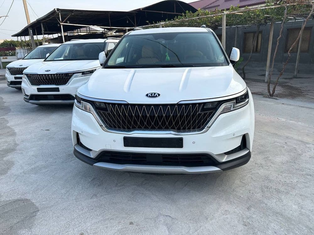 Kia carnival 2021 — 3