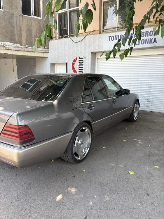 Maesedes 140 karatishka — 1