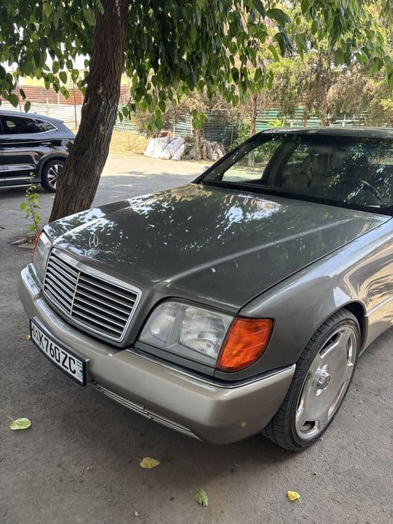 Maesedes 140 karatishka — 4