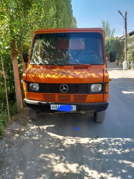1982 yil Mers 52 ramaga terilgan — 1