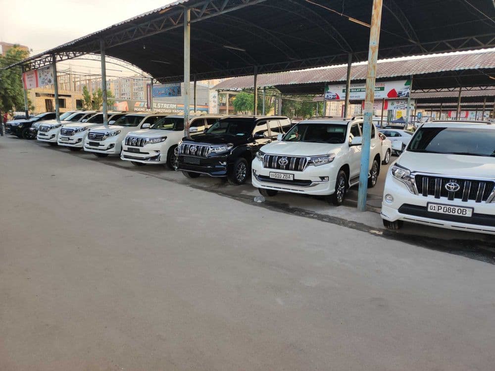 Land cruiser PRADO — 3