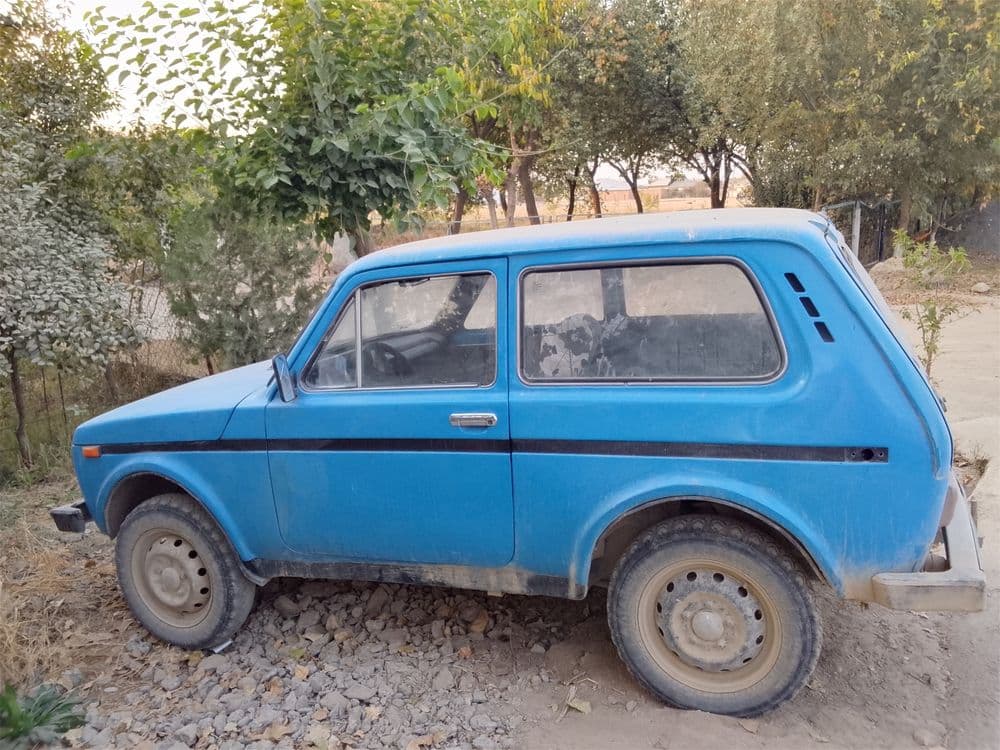Niva 30 million soʻm — 1