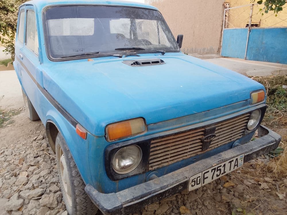 Niva 30 million soʻm — 2