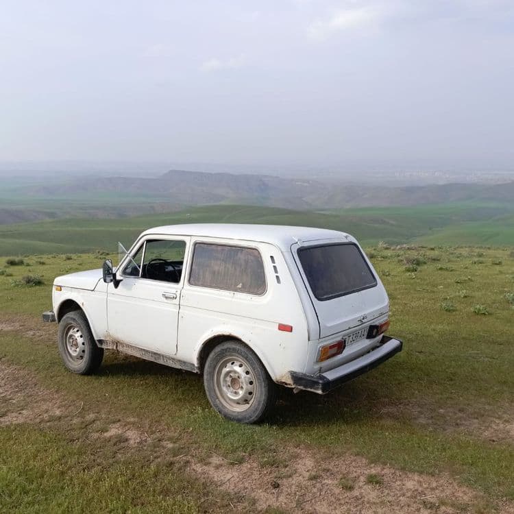 Niva  1981yil propan — 3
