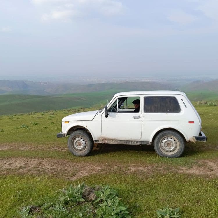 Niva  1981yil propan — 4